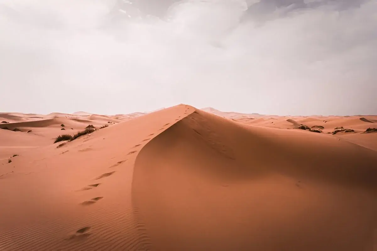 Travel Morocco Journal