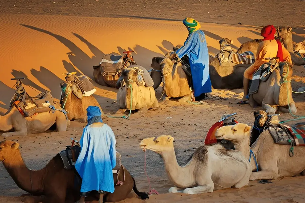 Berber Heritage: 6-Day Luxury Berber Culture Immersion 4